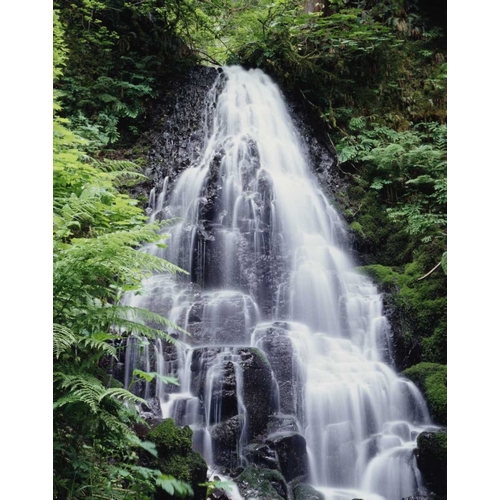 USA, Oregon, A Waterfall amongst ferns